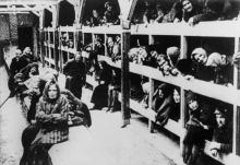 Un baraquement au camp de concentration d'Auschwitz à la Libération en janvier 1945