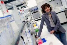 La généticienne française Emmanuelle Charpentier dans un laboratoire, en mai 2015 à Braunschweig, dans le nord de l'Allemagne