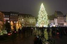 Strasbourg a illuminé ses rues et son immense sapin, sans les chalets de bois traditionnels ni la foule de visiteurs, le 27 novembre 2020.