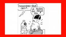 HCQ Tintin