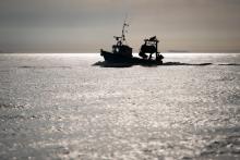 Guernesey accorde 40 licences de pêche à des bateaux français, qui pourront ainsi continuer à pêcher dans ses eaux après le 1er février 2022