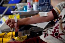 Une personne donne son sang, le 21 janvier 2021 à Toulouse