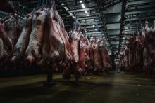 Des carcasses entreposées dans le pavillon de la viande au marché de Rungis, dans le Val-de-Marne, le 10 décembre 2020