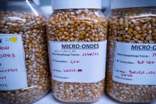 Des bocaux de maïs à popcorn micro-ondable dans l'usine Nataïs de Bezeril (Gers), le 1er février 2022