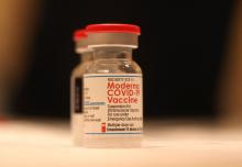 La FDA valide l'efficacité du vaccin Moderna chez les bébés