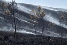 La végétation brûlée par un incendie, le 21 juillet 2022 à Brasparts, dans les Monts-d'Arrée, dans le Finistère