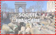 TP Société française