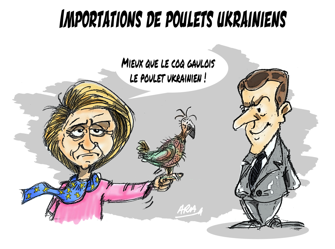 Importations de poulets ukrainiens