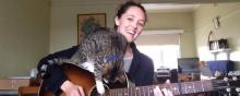 Capture d'écran d'une vidéo de chat sur la guitare de sa maîtresse.