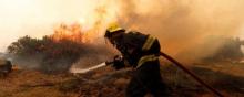 Un terrible incendie de brousse ravage le sud de la région du Cap.