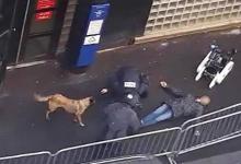Des policiers, un chien et un robot démineur autour du corps de l'assaillant du commissariat de Paris.