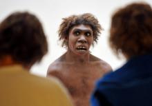 Une représentation de l'homme de Neandertal.
