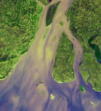 La rivière Hugli en Inde photographiée par le satellite Terra.