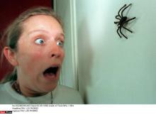 Une femme qui a peur d'une araignée.
