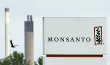 Le logo de Monsanto.