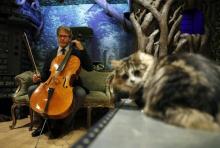 David Teie violoncelliste chat album Etats-Unis