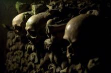Crânes humains dans les Catacombes de Paris, le 30 avril 2008.