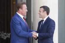 L'acteur Arnold Schwarzenegger et le président français Emmanuel Macron, le 23 juin 2017 à Paris