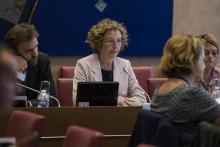 La ministre du Travail Muriel Pénicaud lors d'une audition à la Comission des Affaires sociales de l