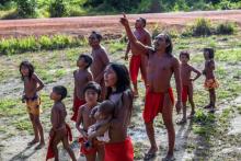 Des Indiens Waiapi regardent un avion survoler leur village de Manilha, au coeur de la forêt amazoni