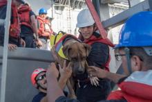 La marina américaine sauvant deux navigatrices et leur chien dans le Pacifique.