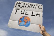 Manifestation contre le géant de la biotechnologie Monsanto à Paris le 21 mai 2016