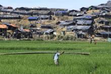 Camp de réfugiés rohingyas de Balukhali au Bangladesh, qui se voient privés par les autorités du pay