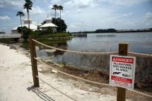 Des panneaux avertissant de la présence de serpents et d'alligators dans un lac artificiel de Disney