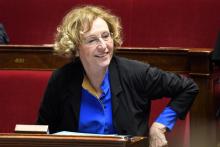 La ministre du Travail Muriel Pénicaud à l'Assemblée nationale le 21 novembre 2017
