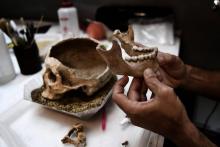 Un archéologue travaille sur un crâne humain dans un laboratoire de l'Ecole américaine d'archéologie