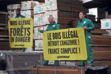 Des militants de Greenpeace dénoncent des importations de bois exotique depuis le Brésil et le Congo, le 22 mai 2014 à La Rochelle