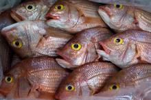 Rôti de saumon ou merguez de poissons, salade hawaïenne, les produits de la mer veulent, sur fond de recul de la consommation de viande, conquérir plus de consommateurs à la recherche de repas légers 