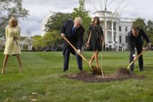 Donald Trump et Emmanuel Macron avaient planté un jeune chêne, symbolisant la force des relations entre les deux pays.