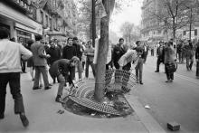 Des étudiants de la Sorbonne arrachent des grilles d'un arbre le 3 mai 1968 à Paris