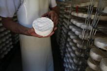 "C'est le camembert de Normandie AOP au lait cru qu'on assassine": des chefs étoilés ont signé une tribune pour dénoncer un accord conclu entre les fabricants de ce fromage, qui risque de "devenir une