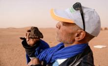 Un chasseur de météorite dans le sud du Maroc examine une roche près de l'oasis de M'hamid el Ghizlane, le 25 mars 2018