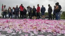 Des producteurs de roses bulgares bloquent une route près de la ville de Kazanlak, le 19 mai 2018