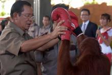 Le Premier ministre cambodgien Hun Sen, en campagne électorale, avec un ourang-outan après un spectacle au nouveau zoo de Phnom Penh, le 23 juin 2018