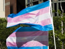 Un drapeau de la communauté transgenre