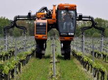Des châteaux viticoles (ici dans la région de Bordeaux) éprouvent des difficultés à recruter du personnel qualifié (tractoristes par exemple).