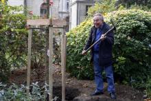 Le président de la LPO Allain Bougrain-Dubourg, pelle en main, plante un arbre dans les jardins du ministère de l'Agriculture, le 12 novembre 2015