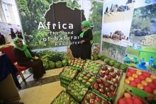 Des produits agricoles exposés lors de la 30e conférence régionale africaine de la FAO à Khartoum, au Soudan, le 19 février 2018