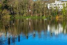 Les étangs d'Hampstead Heathà Londres.