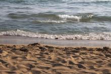 L'eau salée, la mer, la plage, le sable.