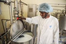 Un employé de la laiterie Irman Dairy vérifie le lait dans une cuve, le 13 juillet 2018 dans les environs de Mogadiscio, en Somalie