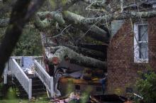 Un arbre a chuté sur une maison de Wilmington (Caroline du Nord) le 14 septembre 2018, tuant une mère et son bébé