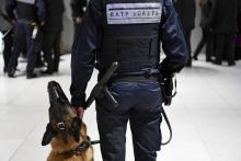 La RATP a annoncé le 19 juillet 2018 que l'utilisation de chiens dressés à détecter la présence d'explosifs va être pérennisée