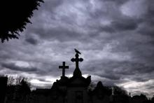 Un oiseau est perché sur la croix d'une tombe du cimetière de Loyasse, à Lyon, le 21 mars 2017