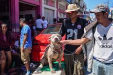 Le Hondurien Adalberto Lopez, qui participe à la caravane de migrants en route pour les Etats-Unis, avec son chien "Bolillo", le 23 octobre 2018 à Huixtla, au Mexique