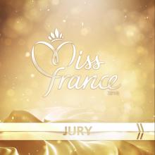 Miss France, Miss France 2018, Jury, Composition